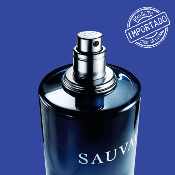 Perfume Dior Sauvage EDT (100ml)